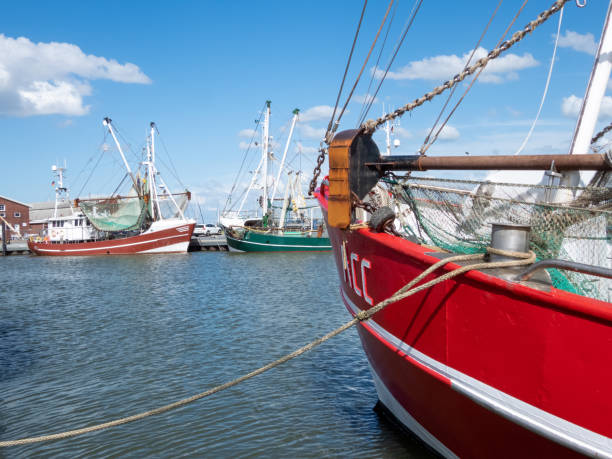 Fishing Boat in Dornumersiel, Lower Saxony, Germany