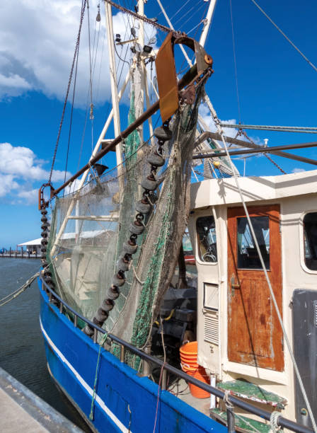 istock Fishing Boat in Dornumersiel, Lower Saxony, Germany 1558701101
