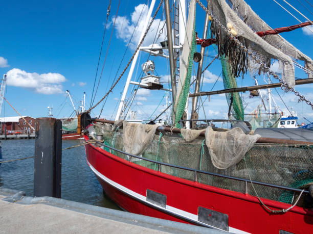 istock Fishing Boat in Dornumersiel, Lower Saxony, Germany 1558701104
