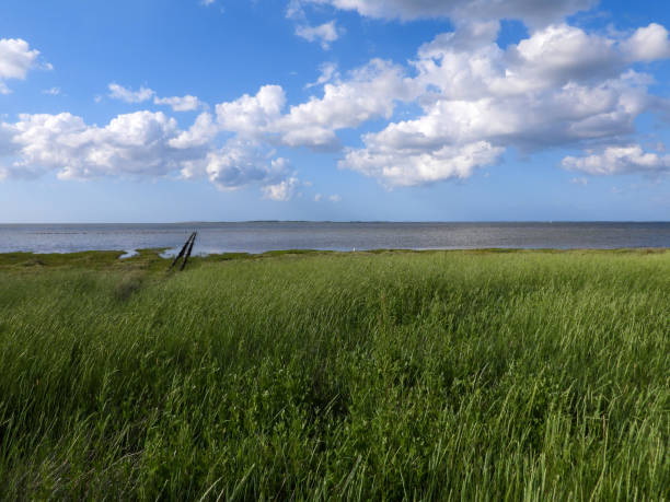 istock Coast in Dornumersiel, Lower Saxony, Germany 1558701628