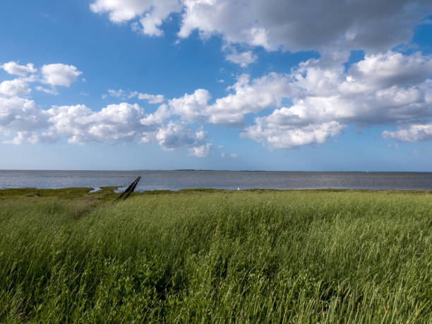 Coast in Dornumersiel, Lower Saxony, Germany