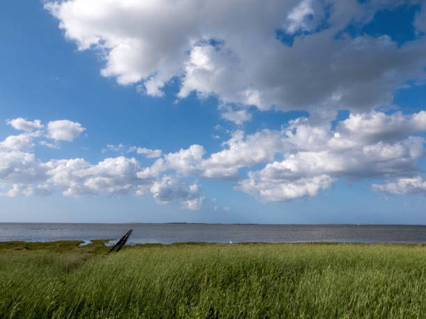 Coast in Dornumersiel, Lower Saxony, Germany