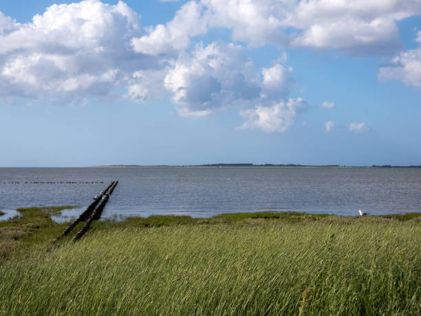 istock Coast in Dornumersiel, Lower Saxony, Germany 1558702158