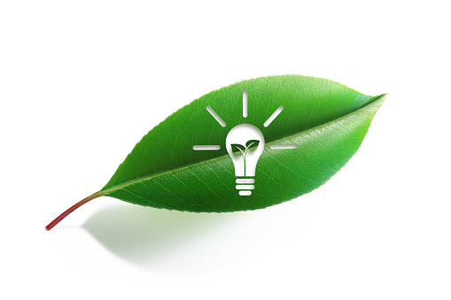 Lightbulb symbol written green leaf on white background. Horizontal composition with clipping path.