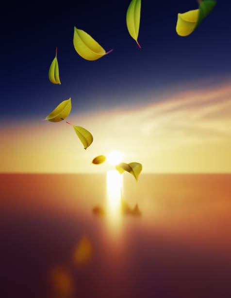 Leaves flying to sun at sunset. Vertical composition with copy space.