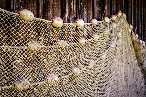 old fishing net - close up - photo