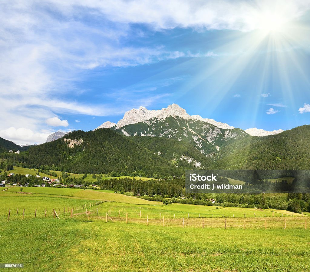 Alpi estate vista - Foto stock royalty-free di Albero