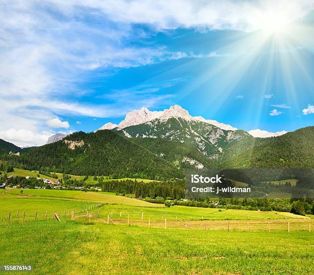 Alpi Estate Vista - Fotografie stock e altre immagini di Albero - Albero, Alpi, Ambientazione esterna