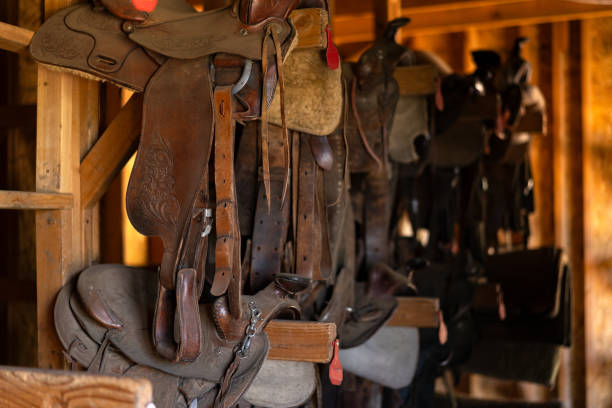 istock Leather Saddles and Horse Riding Tackle 1558771406
