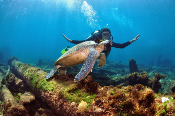A woman doing scuba diving near a shipwreck
