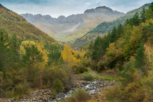 Spectacular view of the Ordesa Valley with the colors of autumn from Linas de Broto. Ordesa and Monte Perdido National Park in Huesca, Aragon, Spain