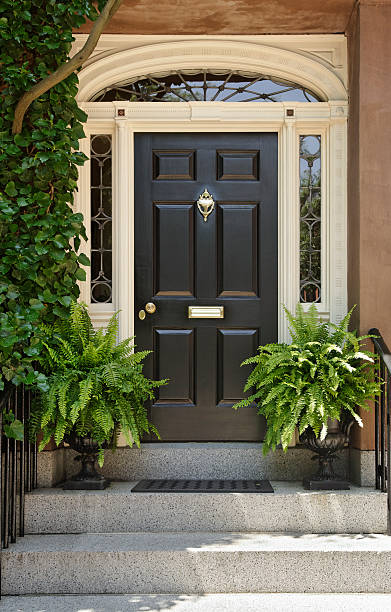 istock Brown front door with potted plants on either side 155878120
