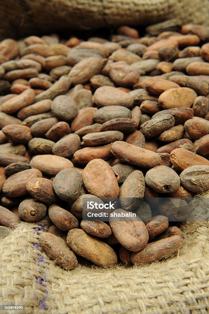 Chicchi di cacao - Foto stock royalty-free di Alimentazione sana