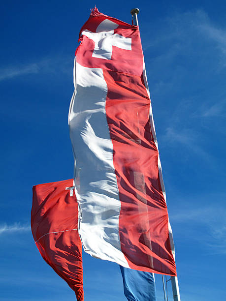 istock Swiss flag waving in the wind 155878431