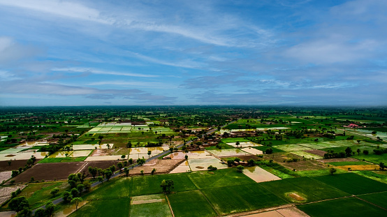 Aerial view of paddy fields in the countryside of Punjab