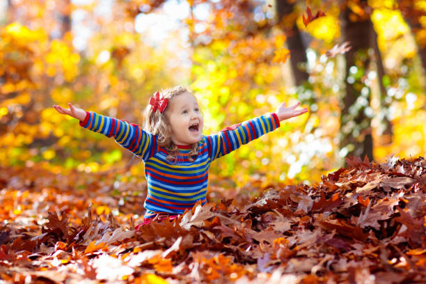 istock Child in fall park. Kid with autumn leaves. 1558808967