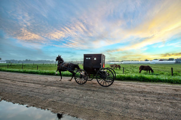 istock Amish Buggy at Sunup after the Rain 1558813809
