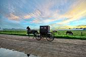 Amish Buggy at Sunup after the Rain