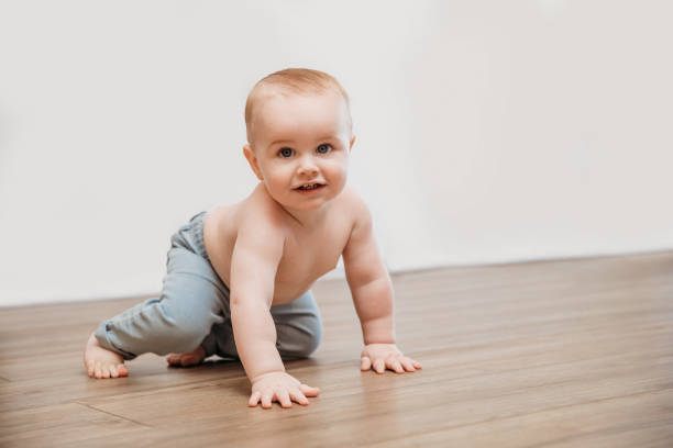 istock Adorable little boy learning to crawl on floor at home 1558819363
