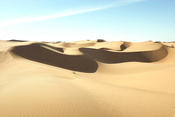 istock Gold desert in sunset 155882182