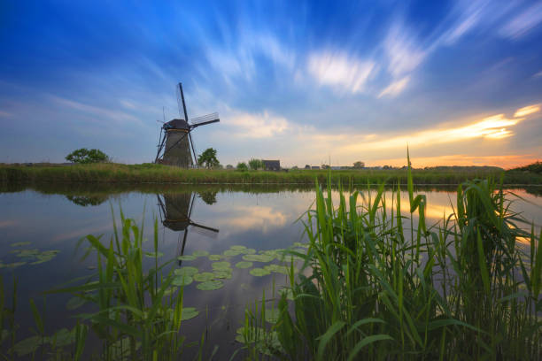 the netherlands, kinderdijk - open-air museum of windmills standing on the banks of a canal. green reeds in the foreground and water lily leaves on the surface. beautiful calm surface. - zaanse schans bridge house water imagens e fotografias de stock