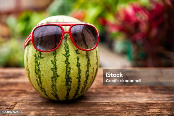 Fun Summer Time Watermelon With Sunglasses On Stock Photo - Download Image Now - Watermelon, Tropical Climate, Backgrounds
