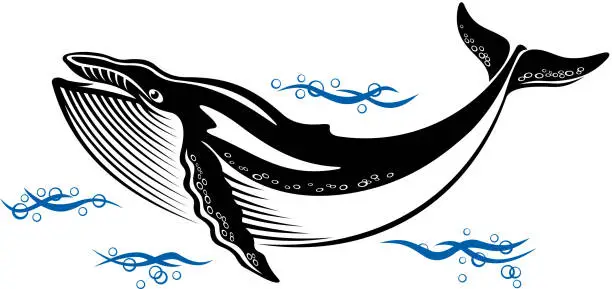 Vector illustration of Wild whale