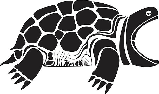 turtle – Vektorgrafik