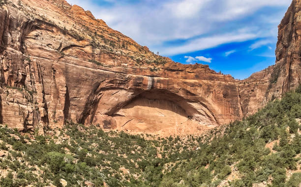 istock gorgeous mountain in Zion 1558921185