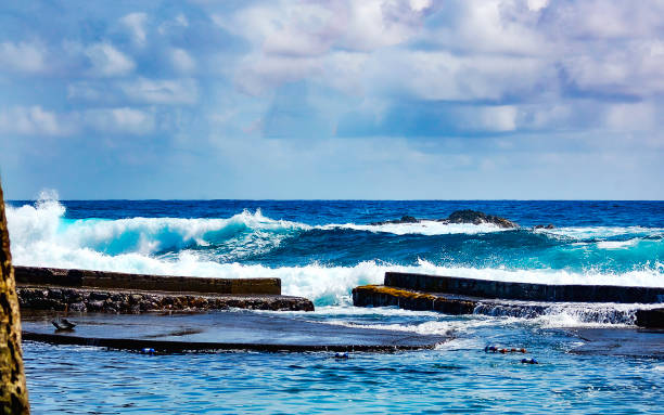 istock coastline near Hilo 1558930307