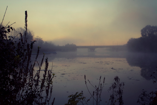 Dawn breaking over a mist-covered Huron River in Michigan, USA.  Low contrast, early morning light with silhouetted plants in foreground.