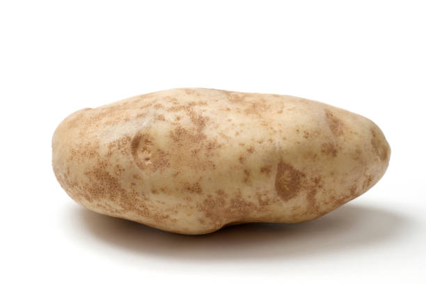 istock Single Idaho Russet Baking Potato against White Background, Shad 155903307