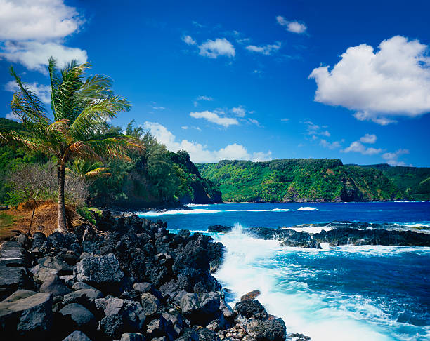 istock Waves on the Maui coastline in Hawaii 155903319
