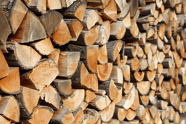 istock wood piles for firewood 155903355