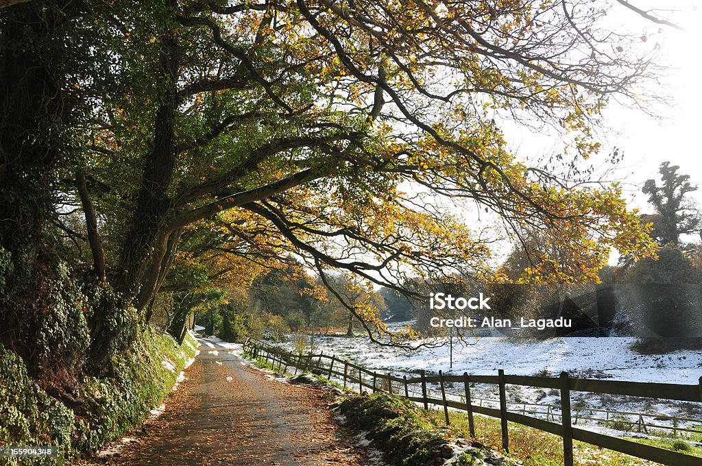 Trinity Winter landscape,Jersey.  Agricultural Field Stock Photo