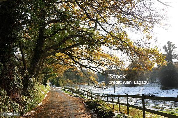 Trinity Winter Landscapejersey Stock Photo - Download Image Now - Agricultural Field, Branch - Plant Part, Color Image