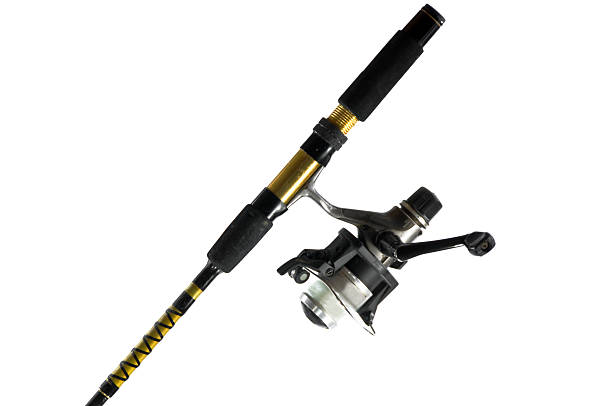 Spinning Fishing Rod And Reel White Background Stock Photo