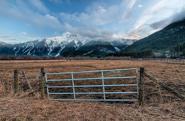 Fence Gate with Snowy Mountains Fence gate for a farm pasture with snowy mountains in background pemberton bc stock pictures, royalty-free photos & images