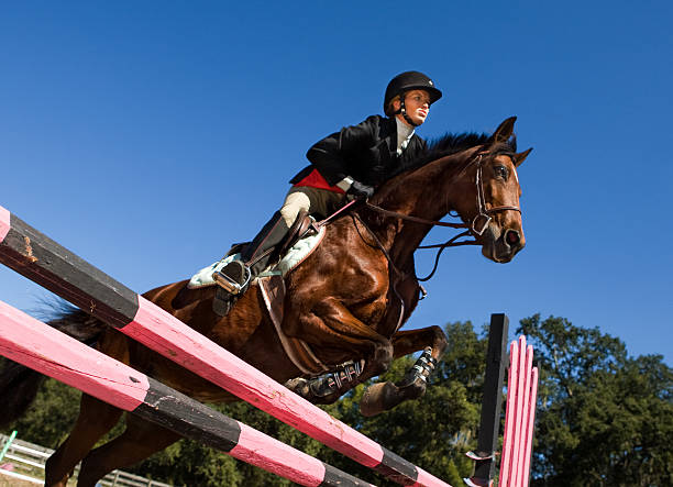 equitación concurso de saltos - competition action animal close up fotografías e imágenes de stock