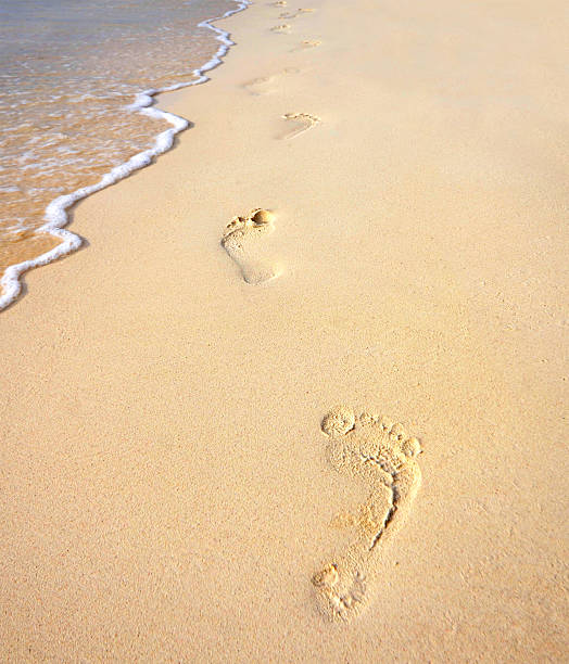 istock Footprints on the sandy beach along sea 155907679