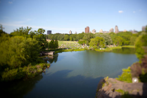 istock Tiltshift photo of Central Park 155908035