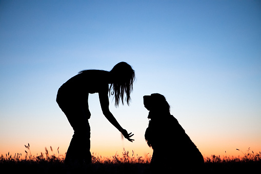 Silhouette image of girl training her dog with a brilliant sunset in 