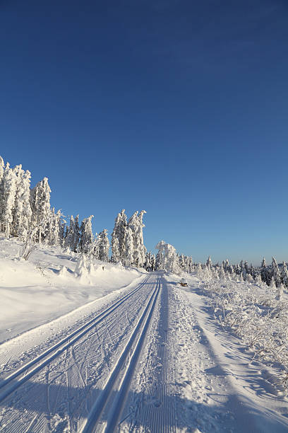 ユキコ冬景色、夕日とクロス sountry スロープ - cross country skiing black forest germany winter ストックフォトと画像