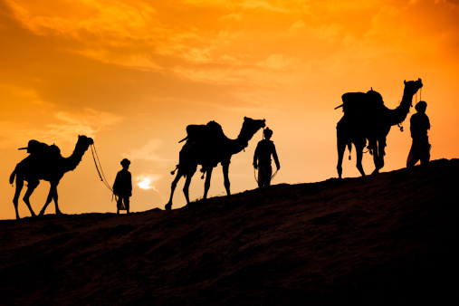 Travel background - two cameleers (camel drivers) with camels silhouettes in dunes of  desert on sunset