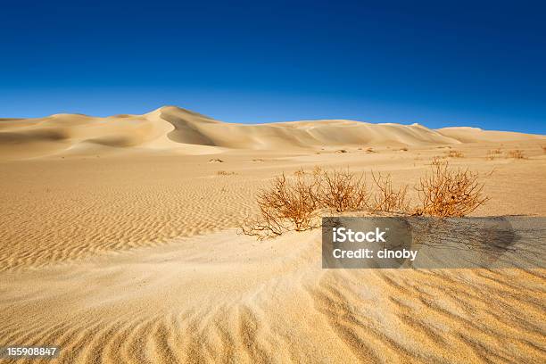 Desert Stock Photo - Download Image Now - Desert Area, Egypt, Arid Climate