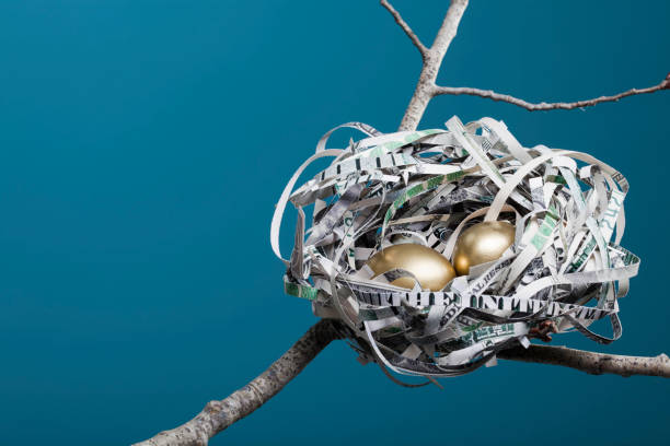 Nest Made of American Currency Horizontal  nest egg stock pictures, royalty-free photos & images