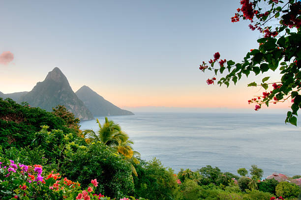 Panoramic view of St Lucias Twin Pitons at Sunrise St. Lucia's famous Twin Pitons in the early morning light. caribbean islands stock pictures, royalty-free photos & images