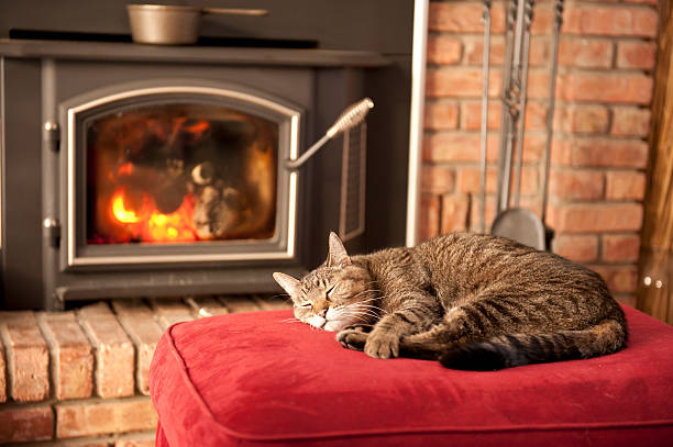 Sleeping Cat An old tabby cat soaks up the heat in front of a wood burning stove. wood burning stove stock pictures, royalty-free photos & images