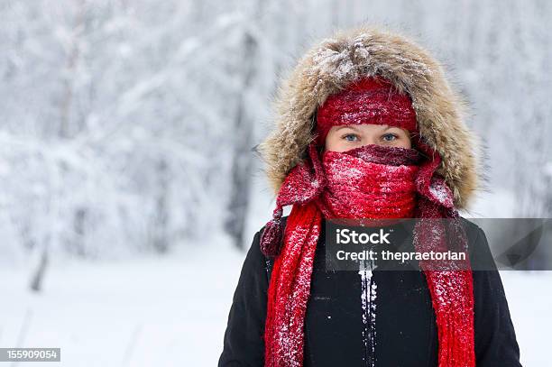 겨울맞이 여성 인물 사진 추운 온도에 대한 스톡 사진 및 기타 이미지 - 추운 온도, 스카프, 냉동된
