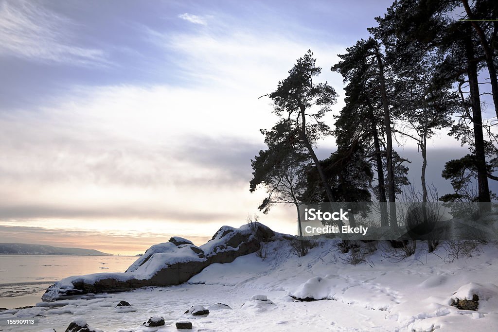 Landscape with pine trees, замороженные Фиорд на закате. - Стоковые фото Берег реки роялти-фри